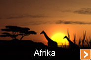 Afrika